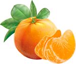橘子 橙子 沃柑