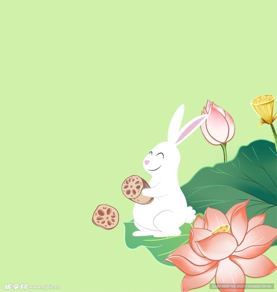 荷花 莲藕 兔子
