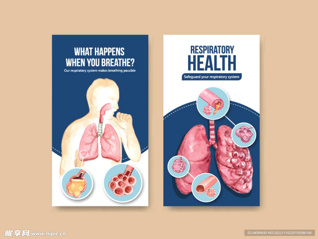 肺部海报