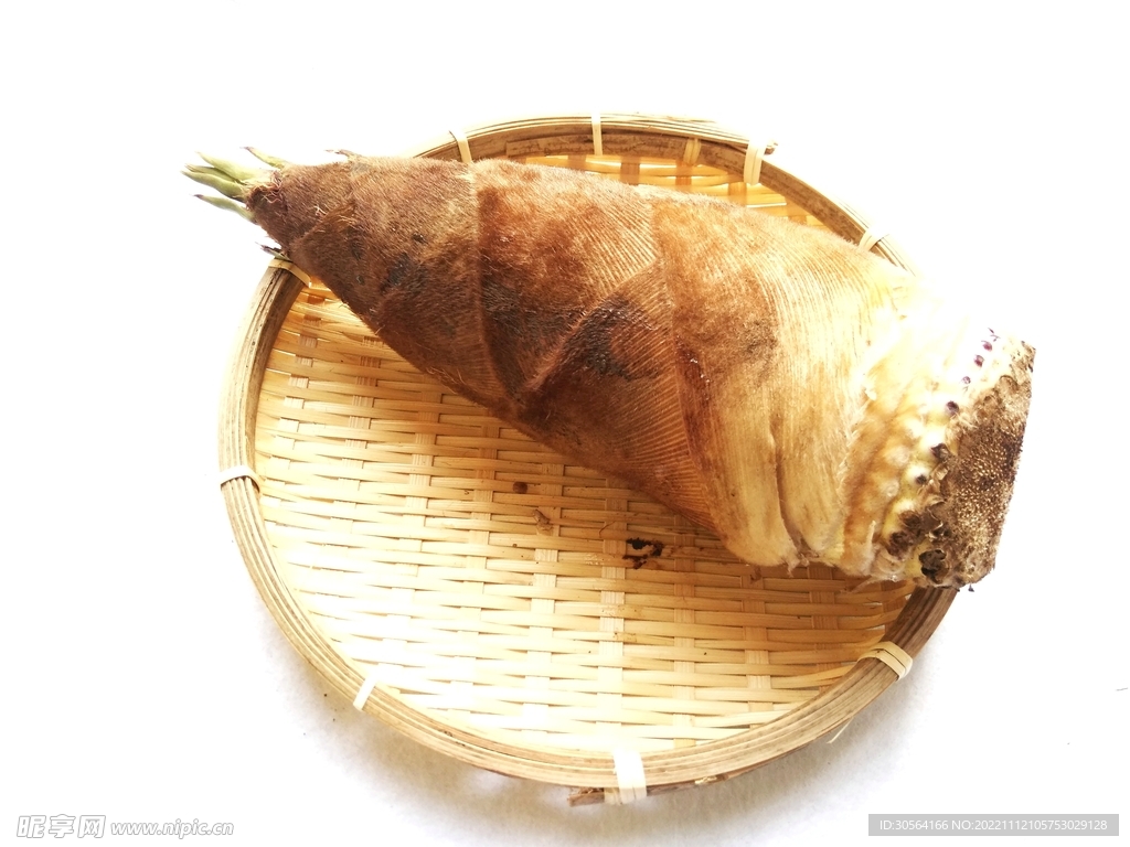 新鮮竹筍