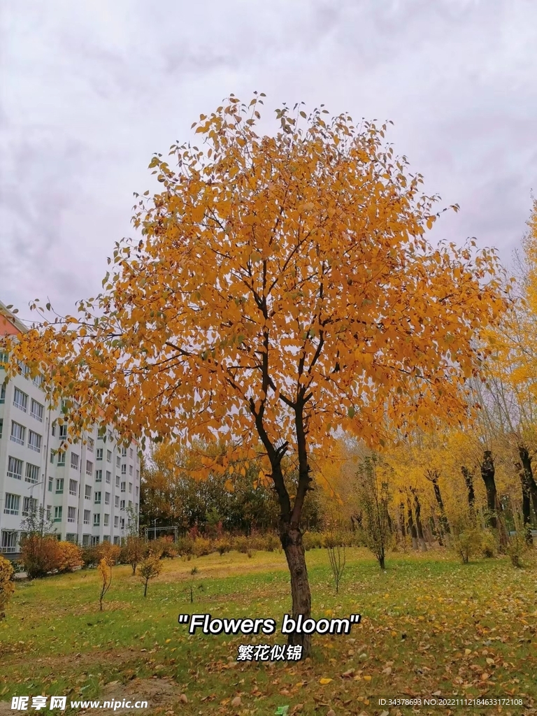秋天