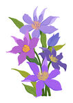 紫色系花束
