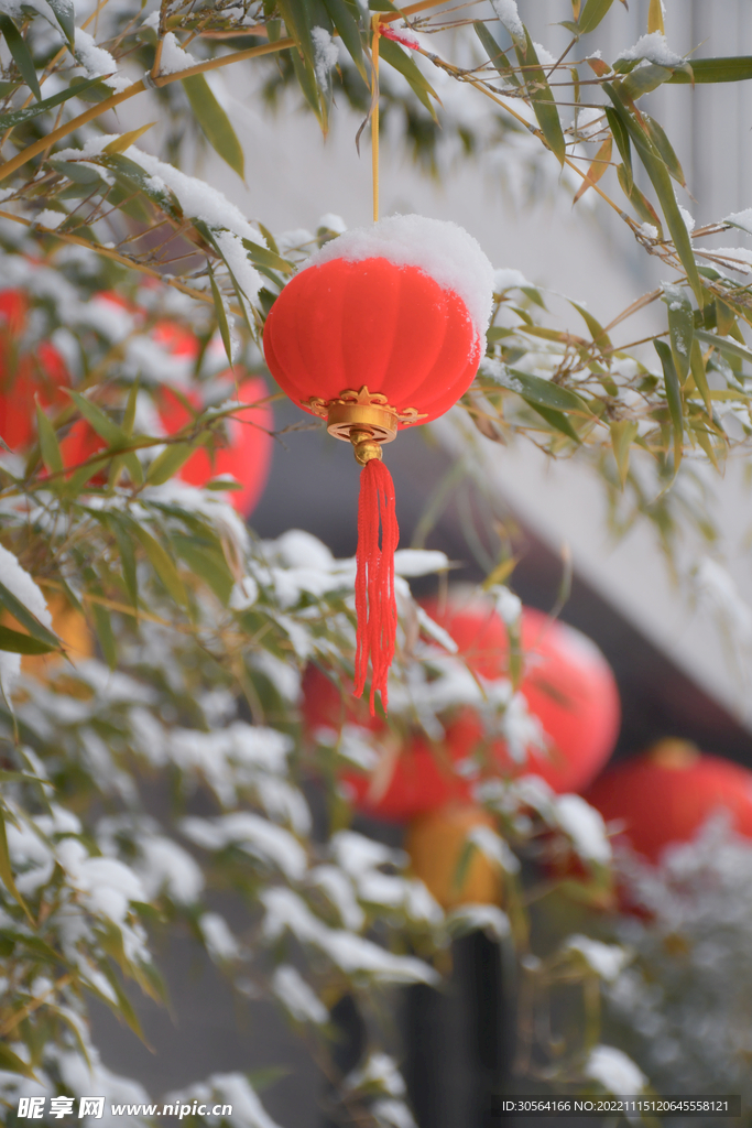 冬季小燈籠