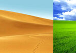 沙漠与草原