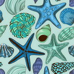 海星   海螺