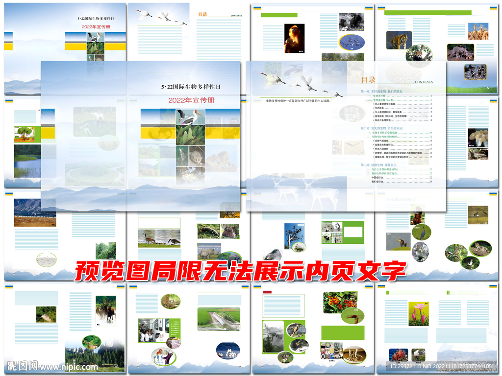 国际生物多样性日宣传册画册设计
