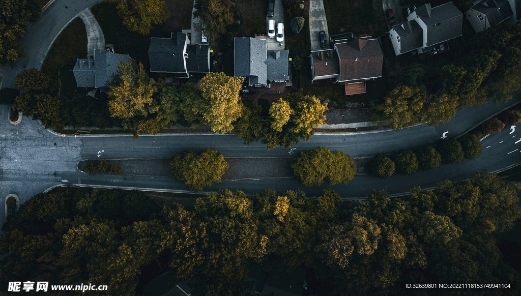 林中公路