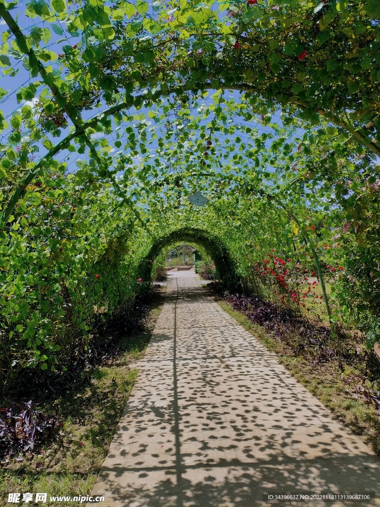 花環(huán)中的小路