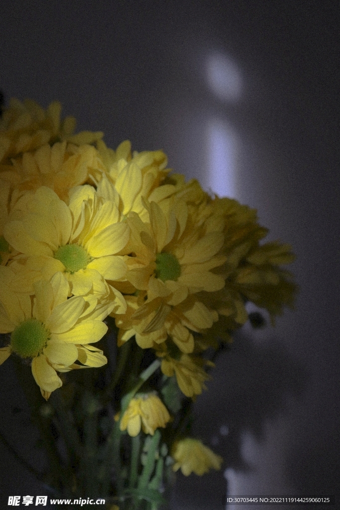 陽(yáng)光和花