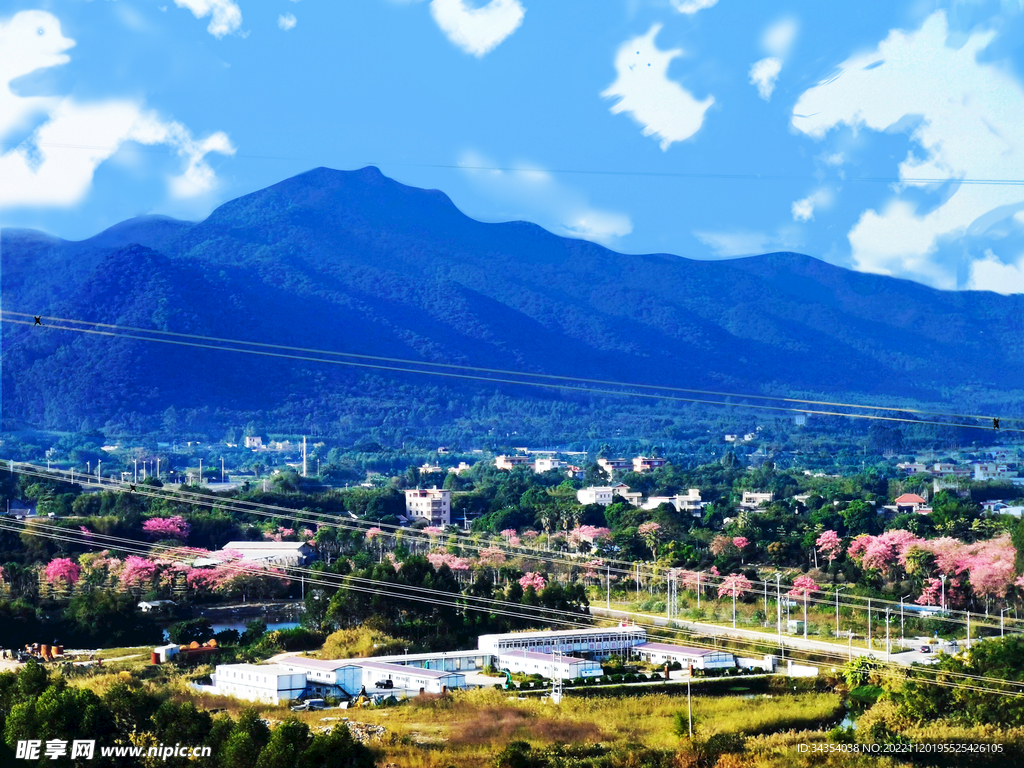 山