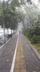 暴雨中的上班路