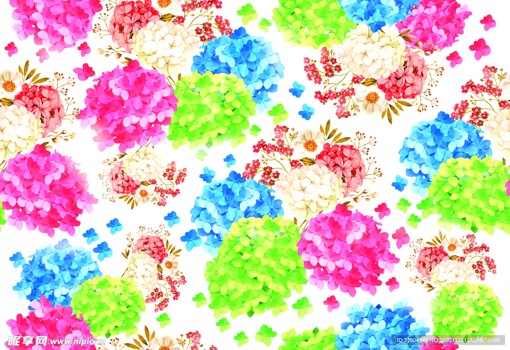 繡球花