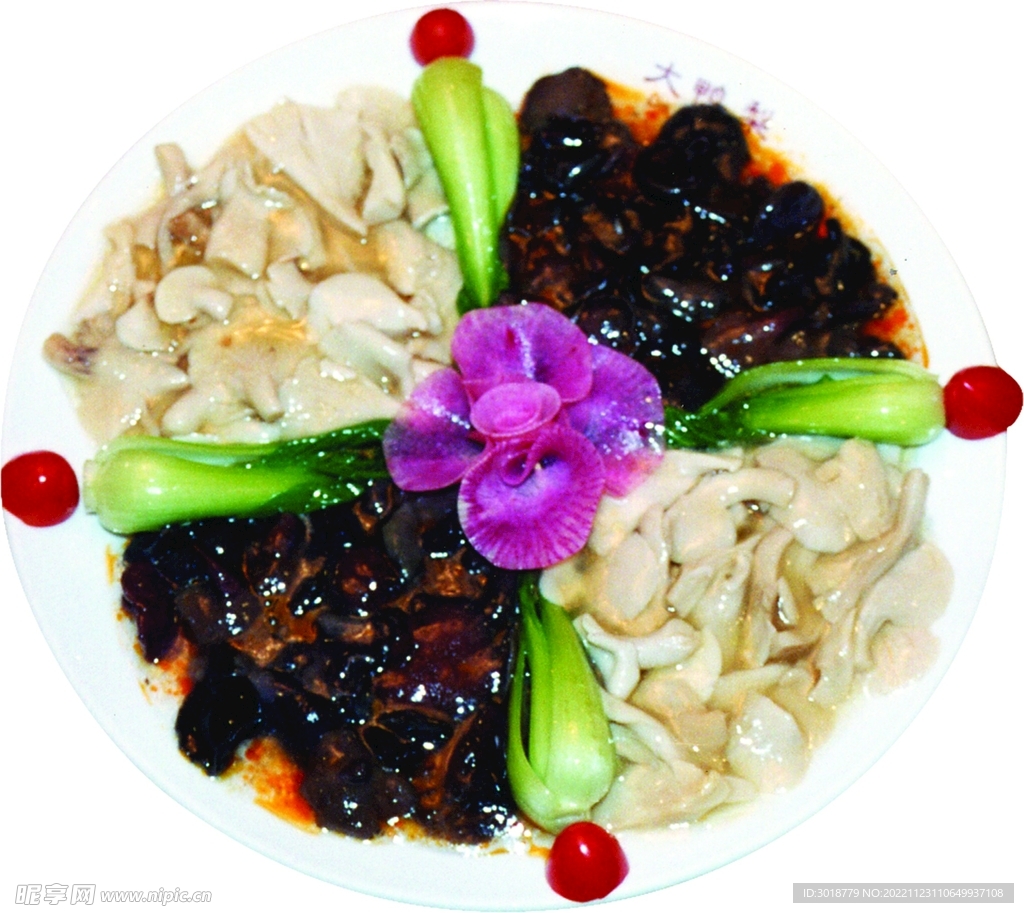 雙色雙菇