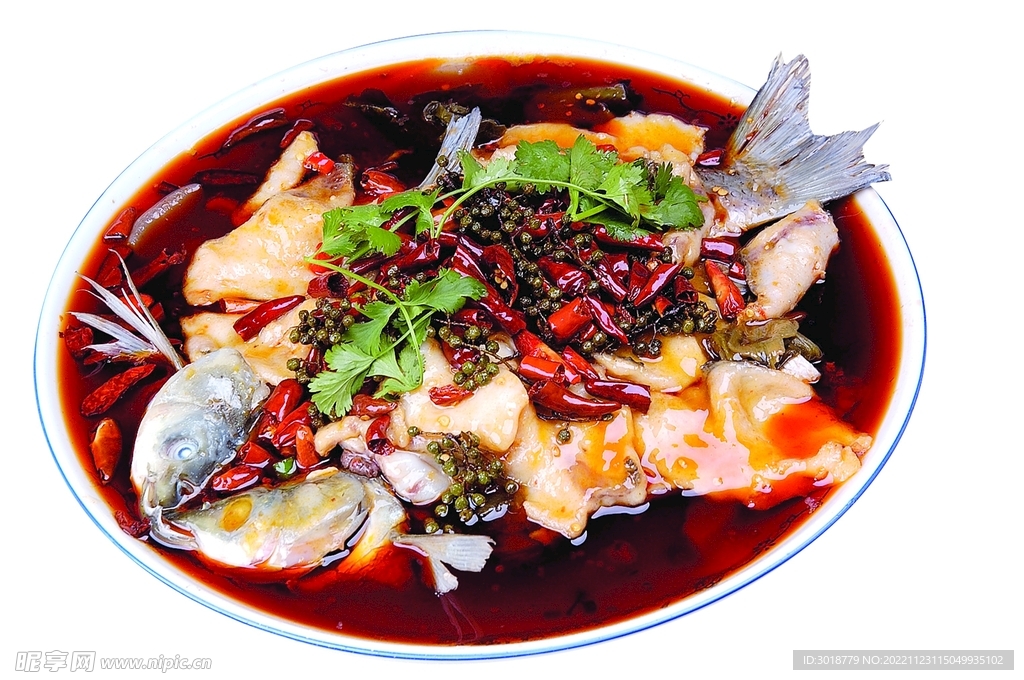 鄉(xiāng)村回頭魚