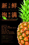 菠萝 水果 海报