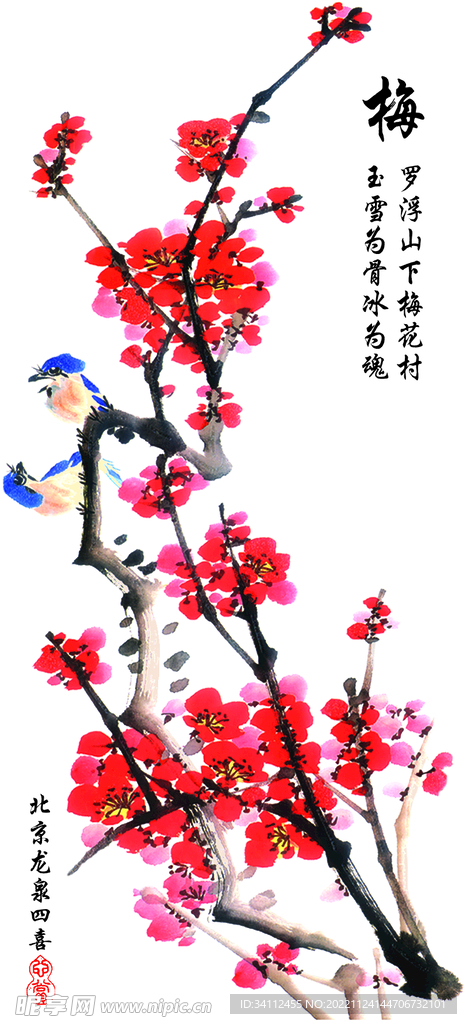 梅花