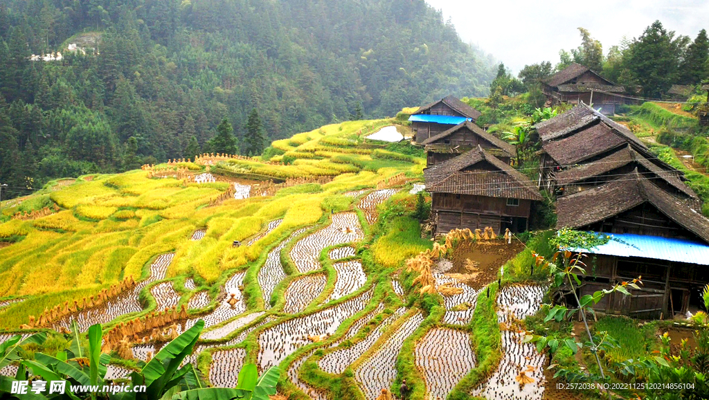 從江加榜梯田風(fēng)光