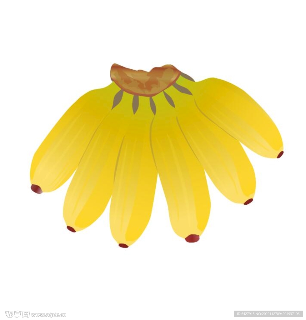 矢量图香蕉水果