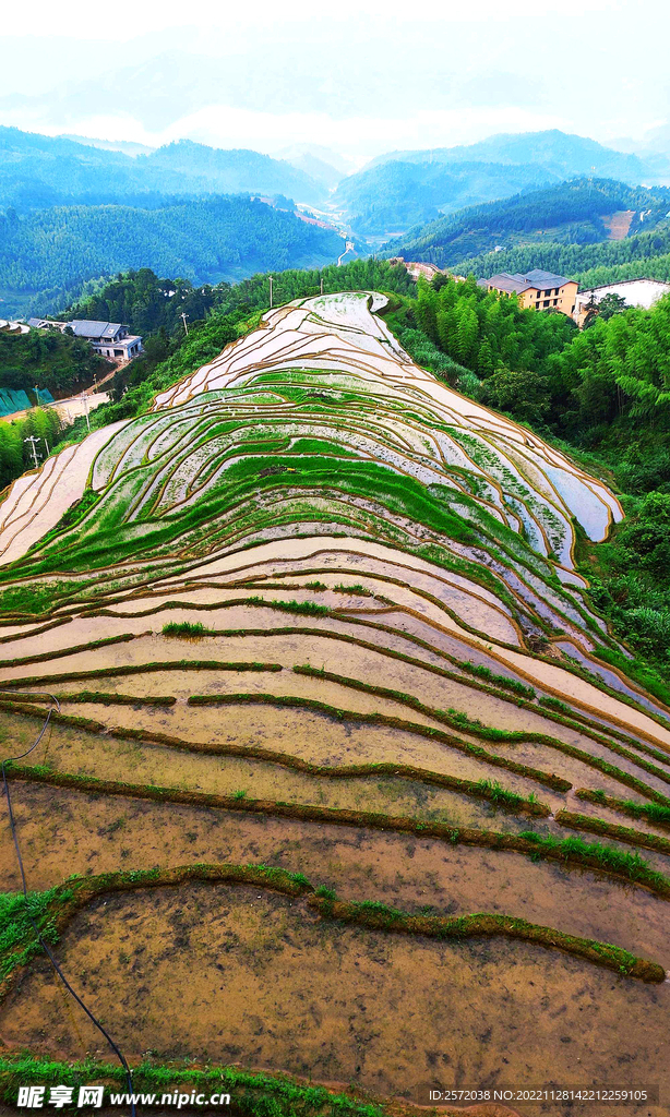 崇義上堡梯田風光