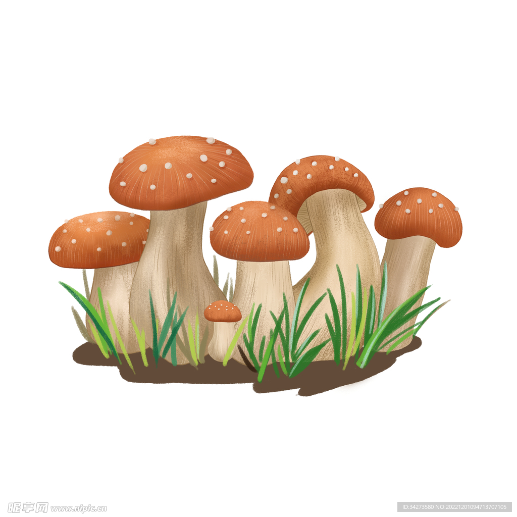 可爱卡通小蘑菇