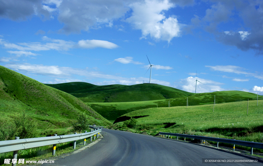 綠色草坪道路