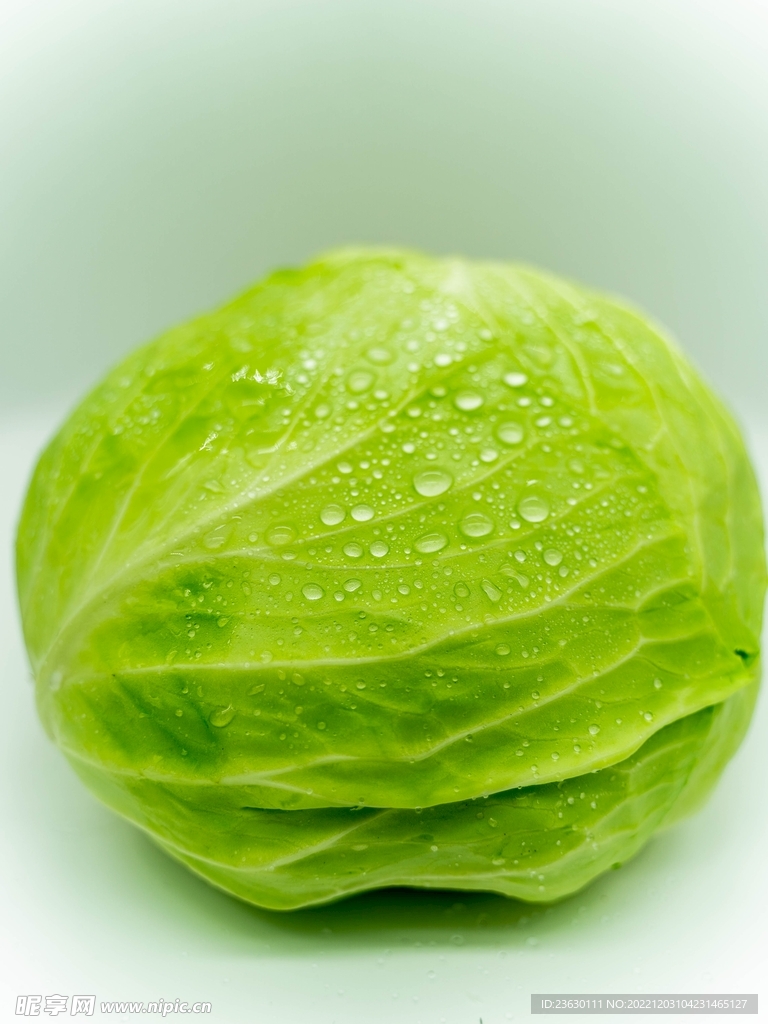 包菜