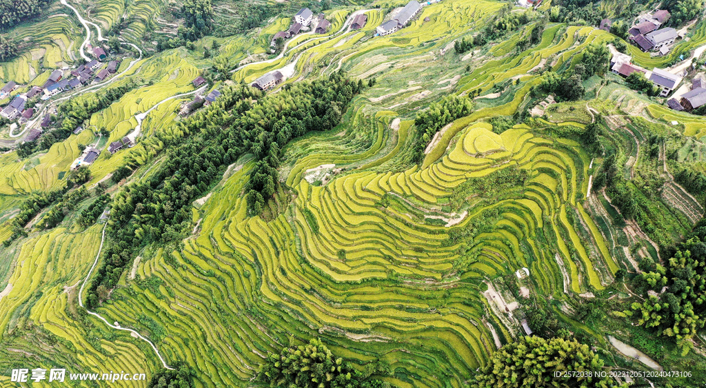 新化紫鵲界梯田