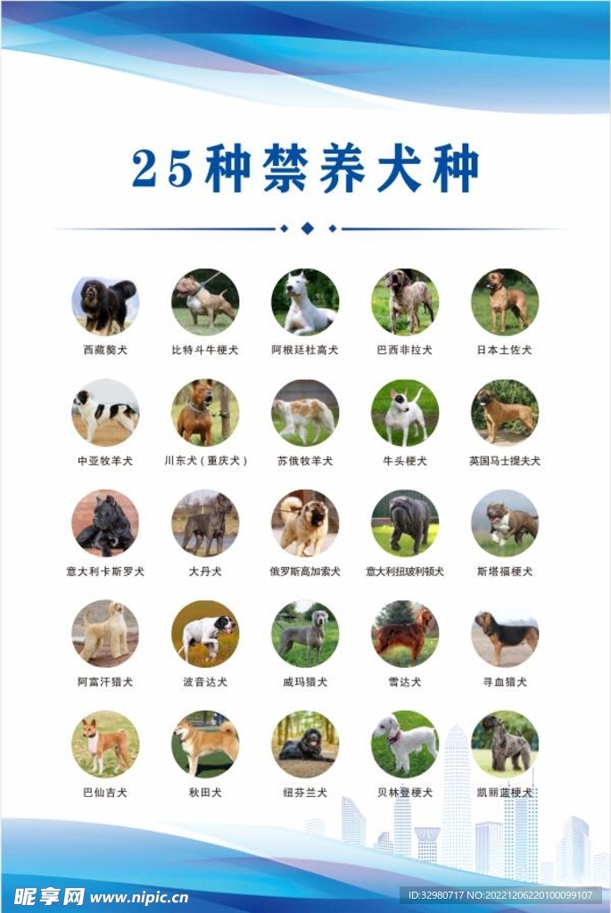 25种禁养犬种