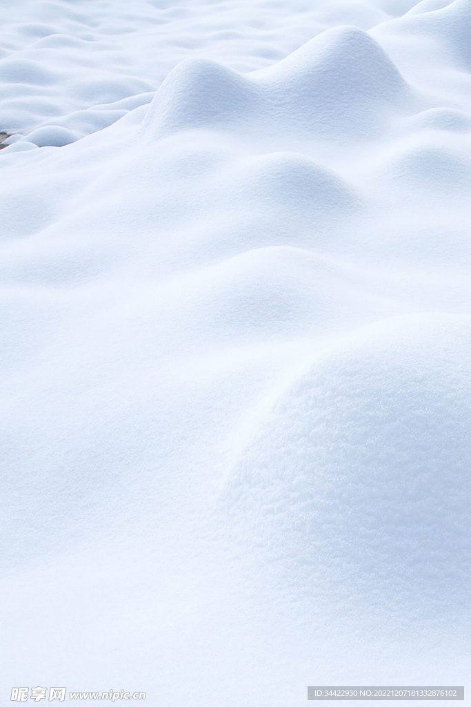 雪地