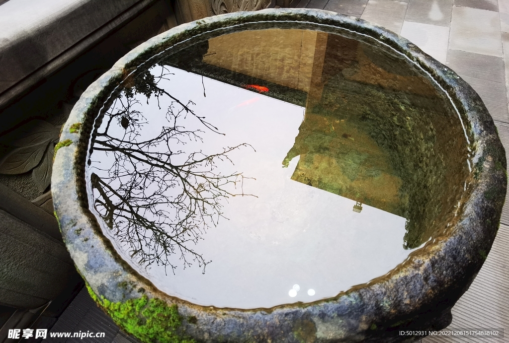 水中景