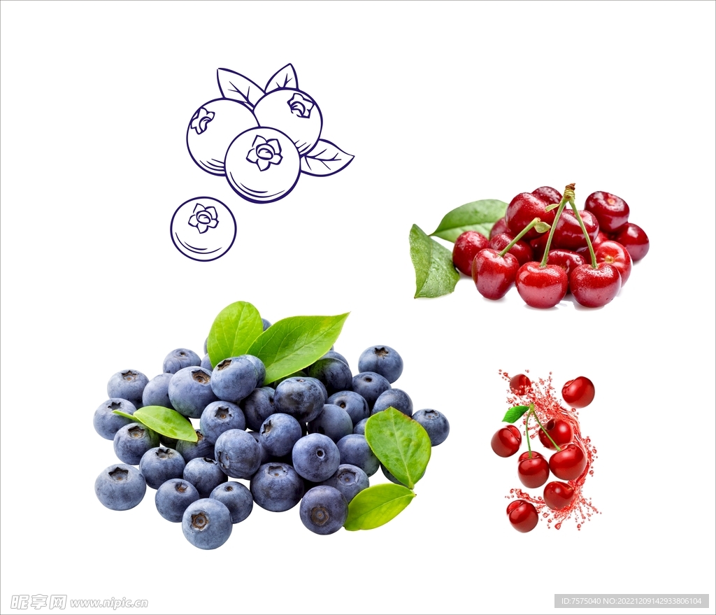 蓝莓樱桃 水果矢量免抠