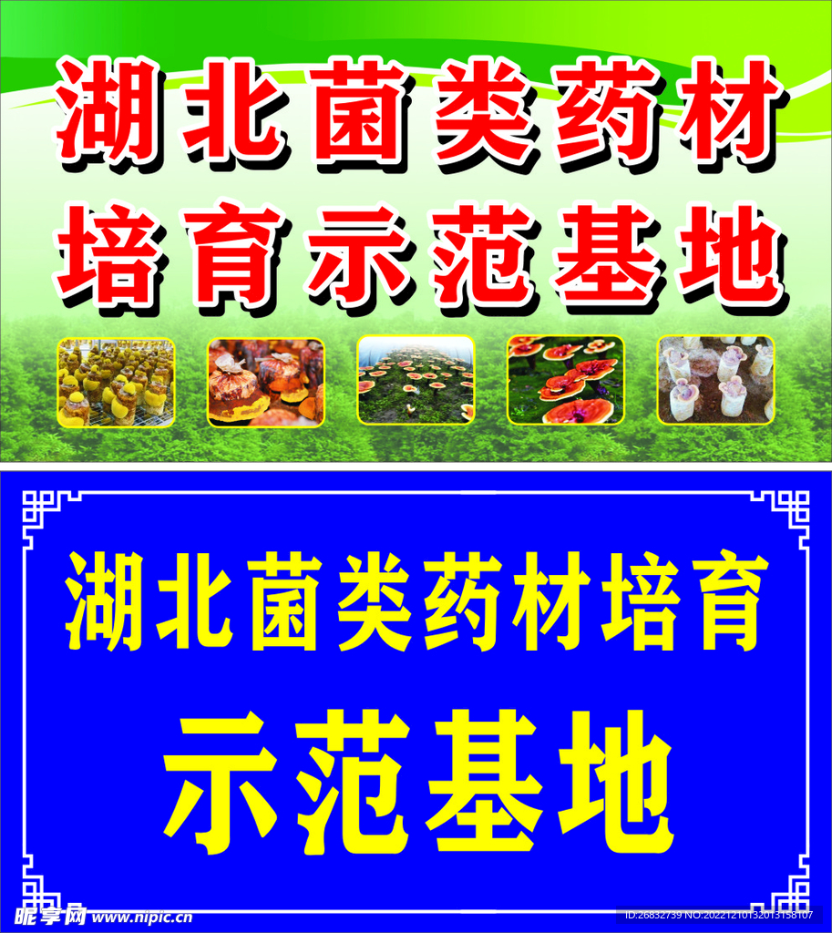 菌類藥材培育示范基地