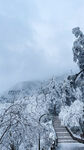 峨眉冬季山顶雪松风景