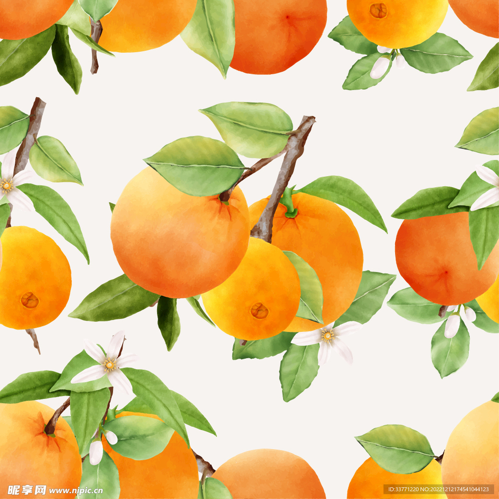 水彩绘橙子