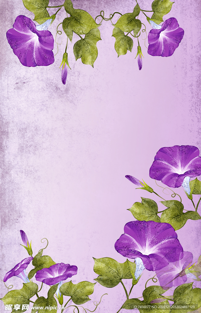 唯美紫色喇叭花背景psd素材