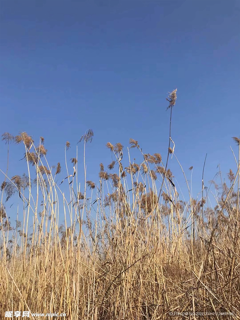 自然風光風景 