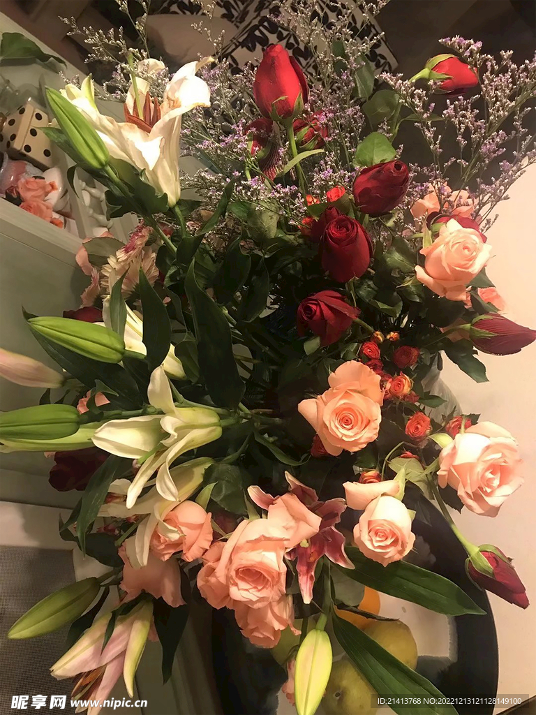 玫瑰花朵花卉 