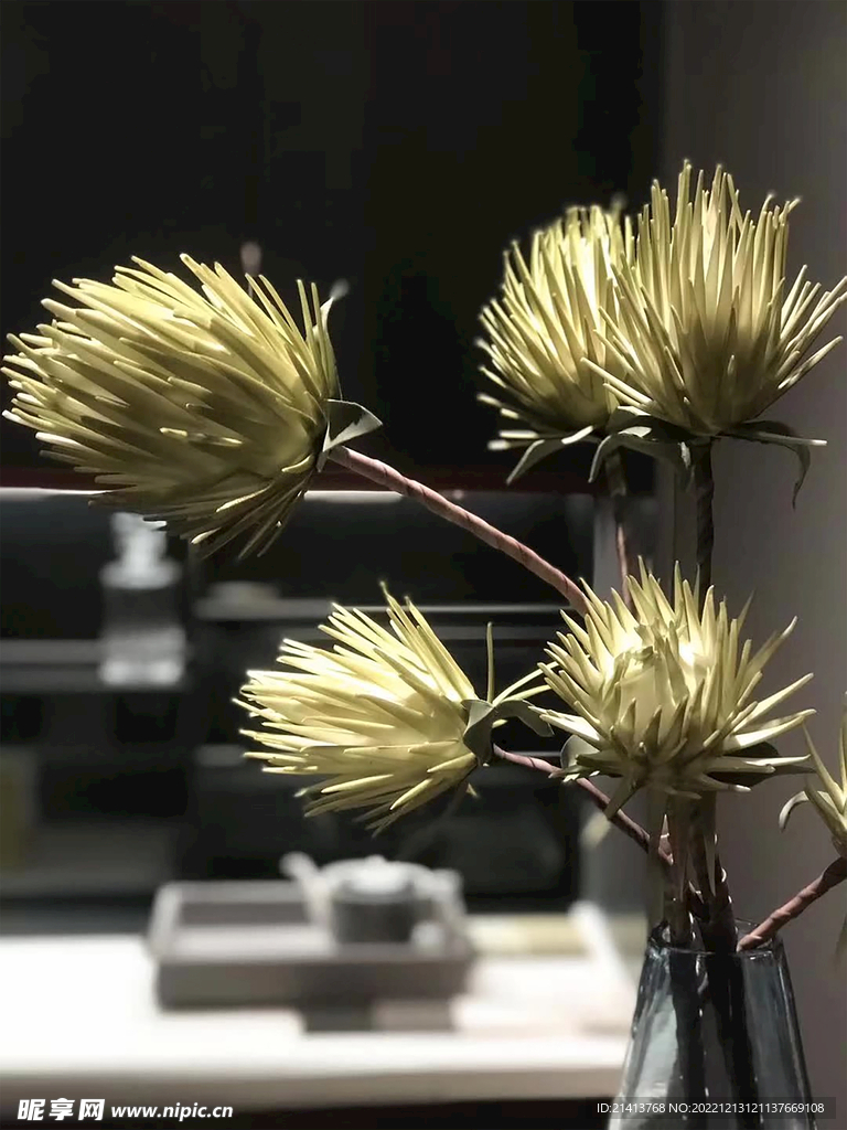 綠植綠葉植物 