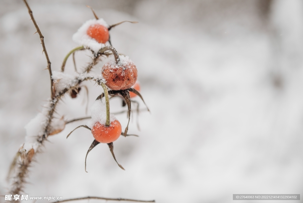 雪景圖片