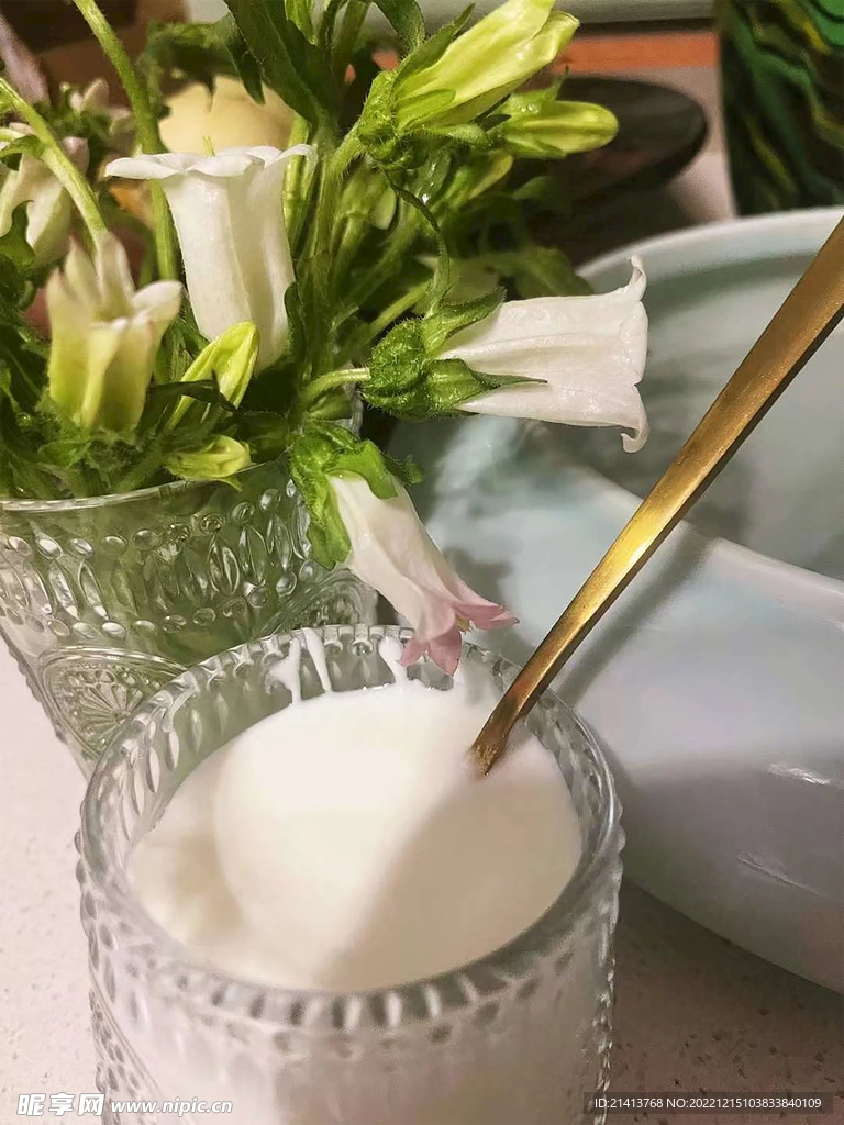 酸奶雙皮奶 