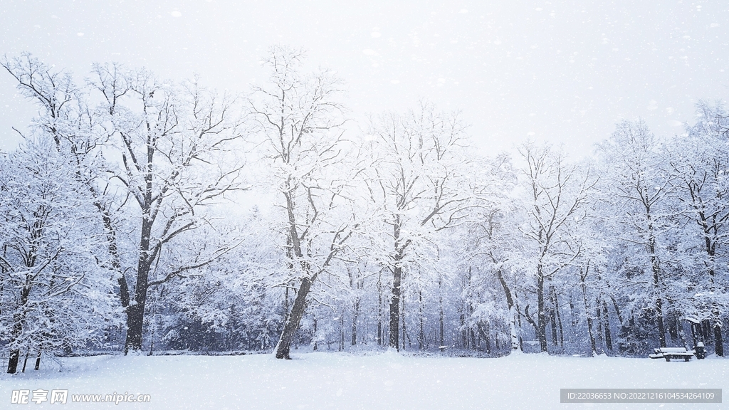 浪漫雪花纷飞雪景