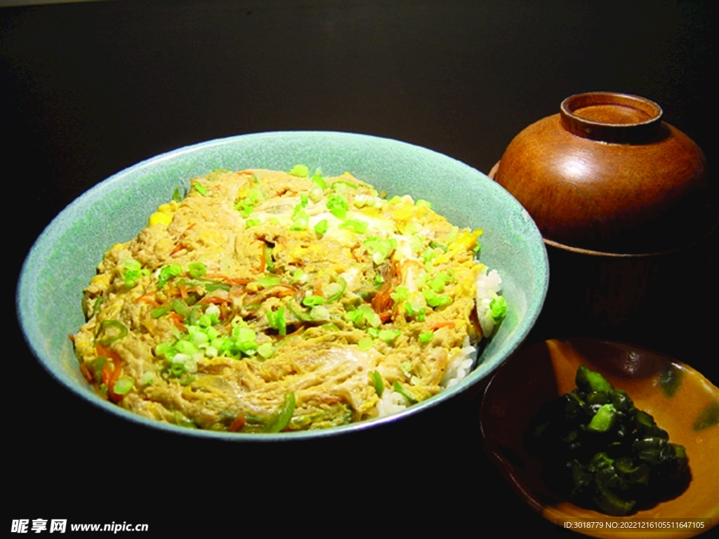 雞肉蓋飯