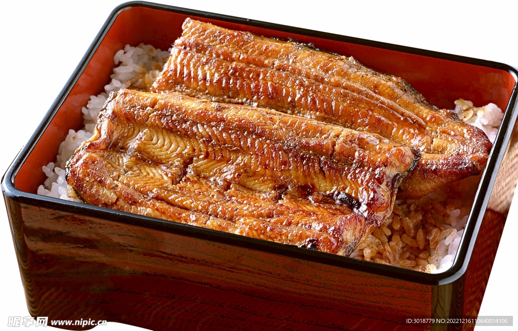 鰻魚