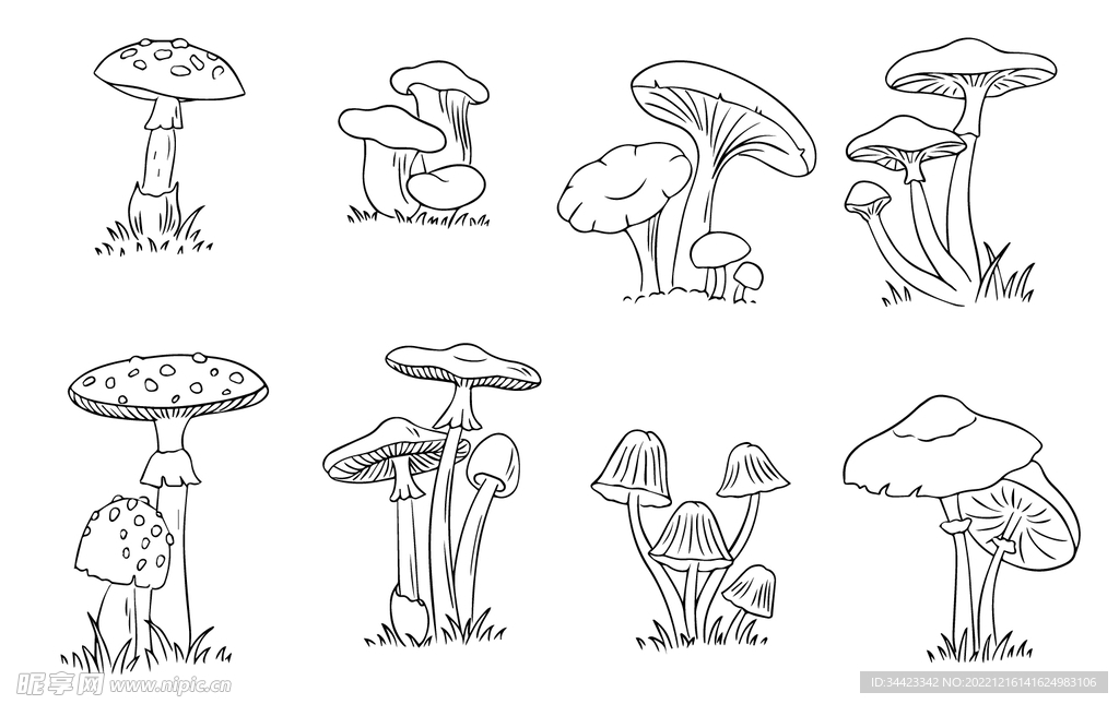手绘菌菇蘑菇香菇野生山珍矢量图