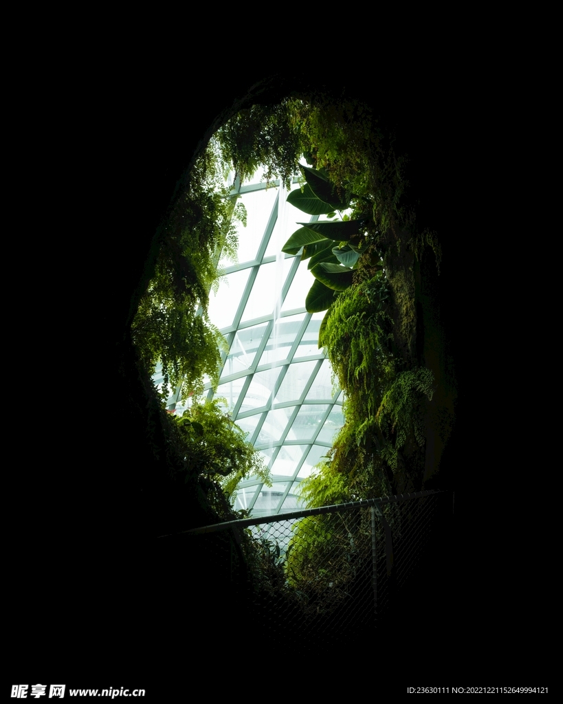 花棚
