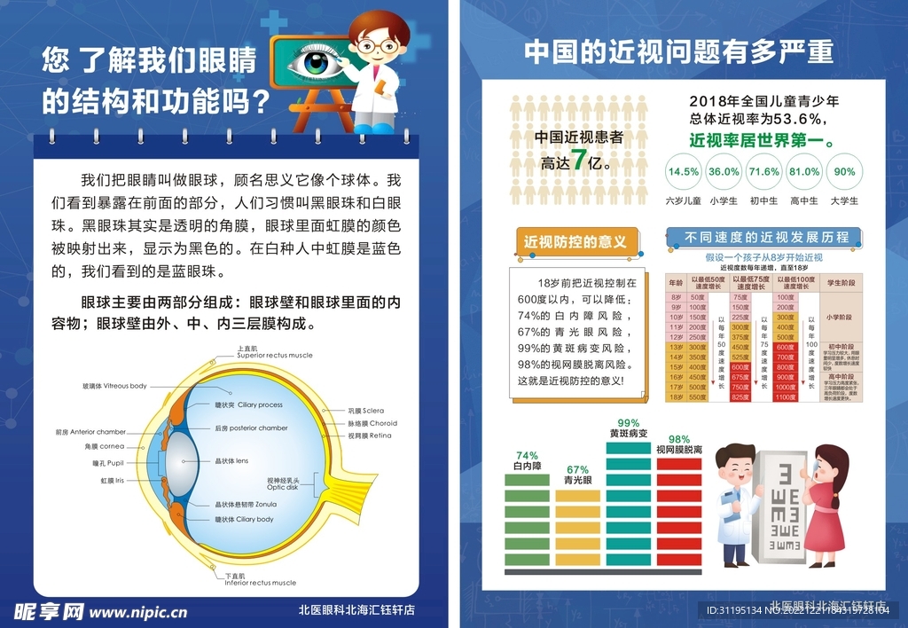 了解眼睛结构和功能 