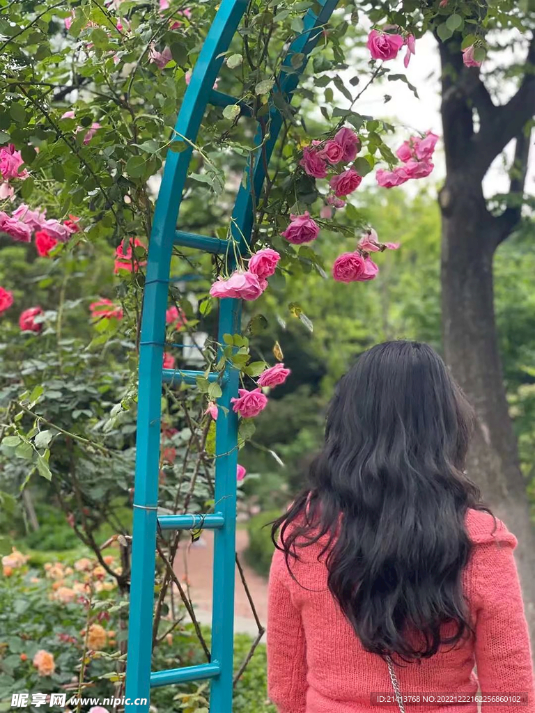 女人女性背影 