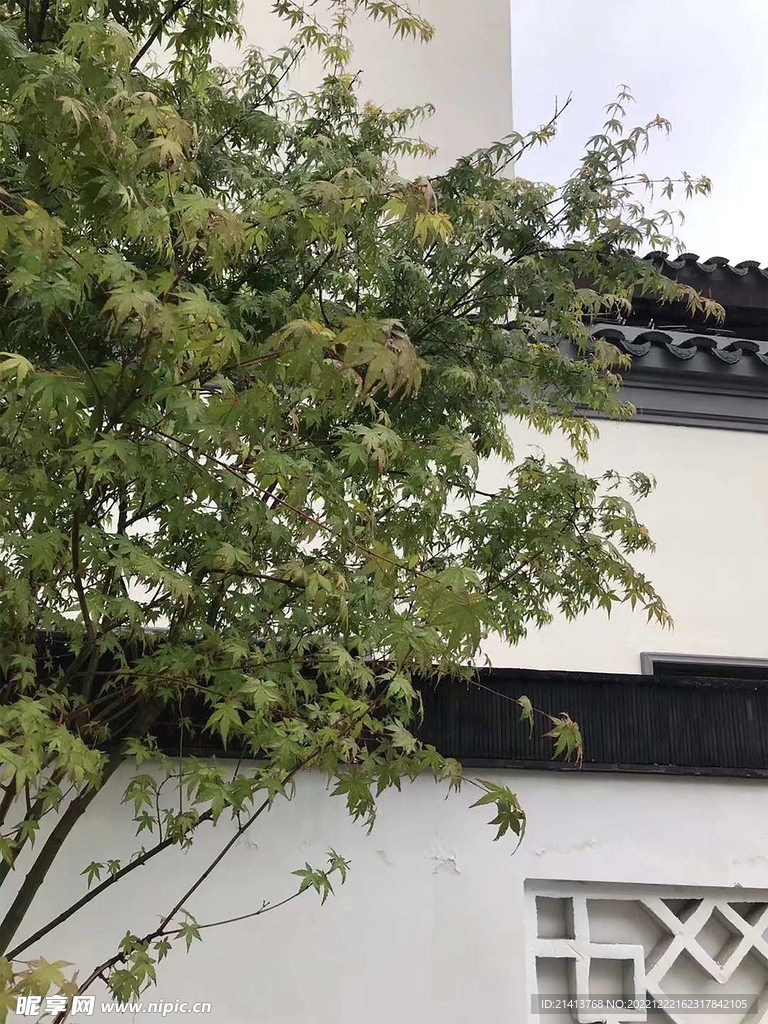 老建筑老房子 