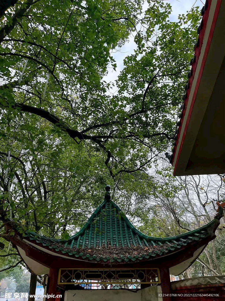 園林建筑風景