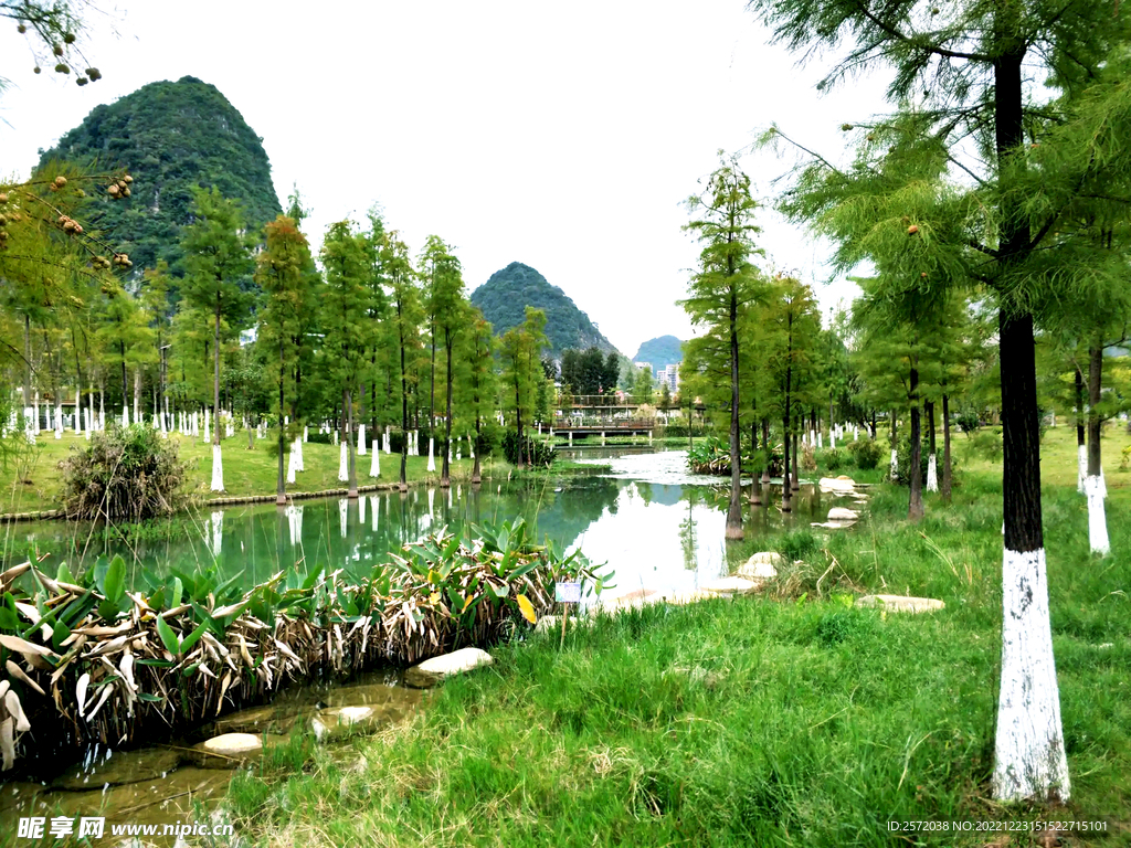 廣西靖西濕地公園